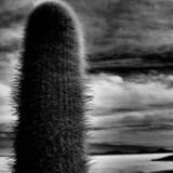 collage image title